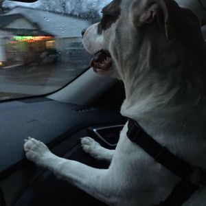 Meet your Posher, Tricia